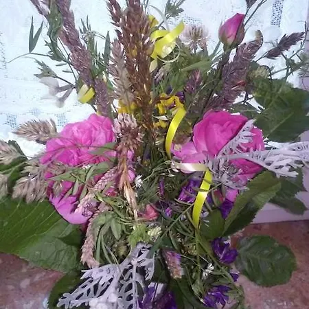 Strozowka Privat bolig